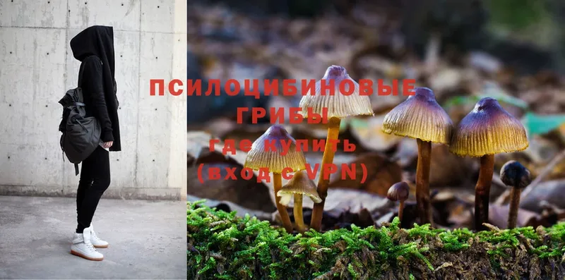 Галлюциногенные грибы MAGIC MUSHROOMS  купить   Ардон 